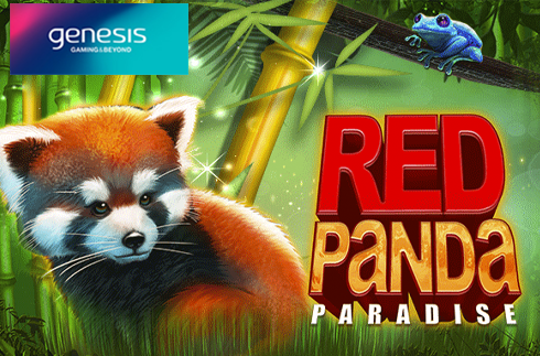 Red panda paradise